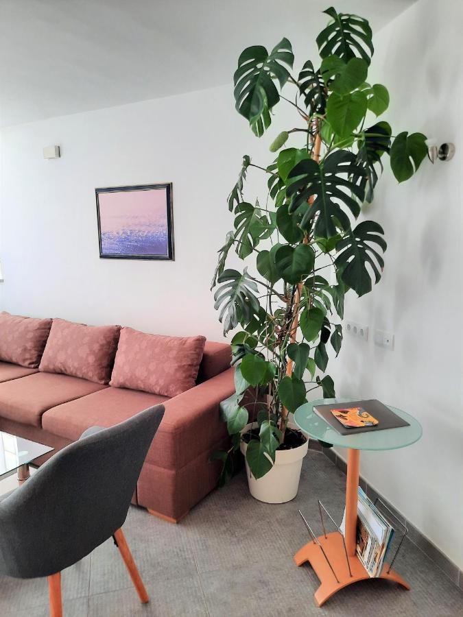 Apartment Mato Barbariga Esterno foto